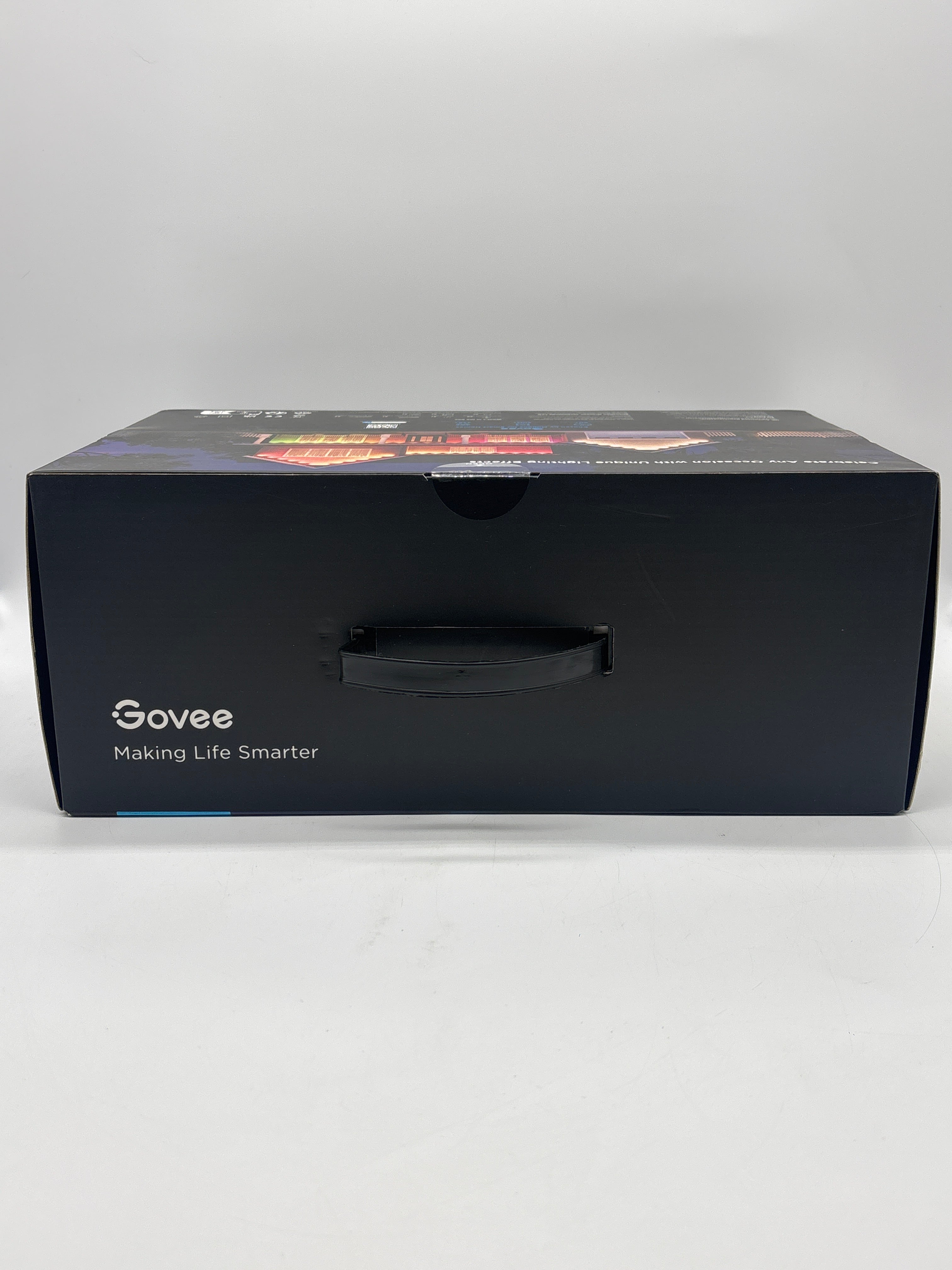 Govee Permanent Outdoor Light Elite 100ft H805A
