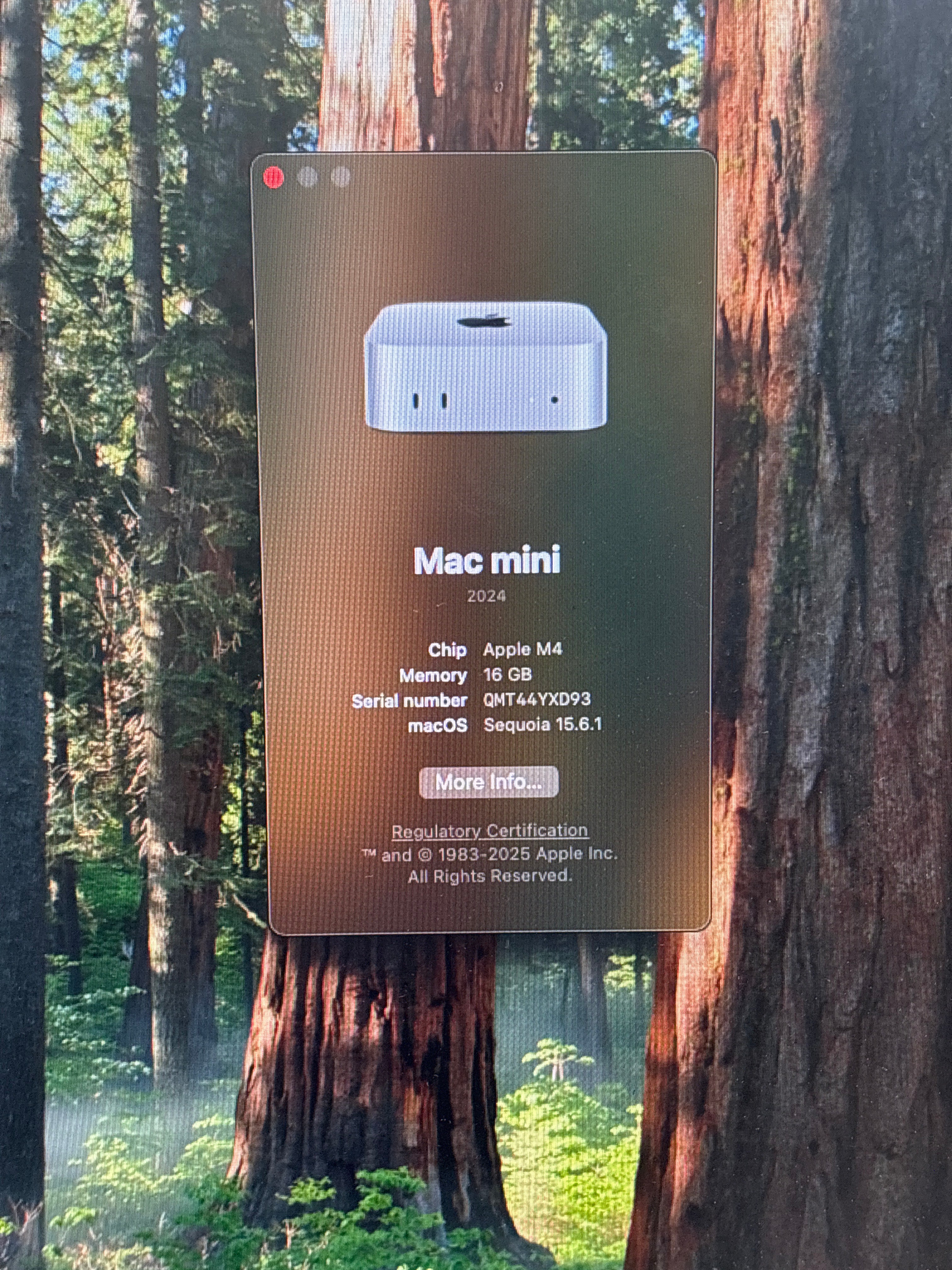 Apple Mac Mini M4 A3238 16GB RAM 256GB SSD Gray - Used