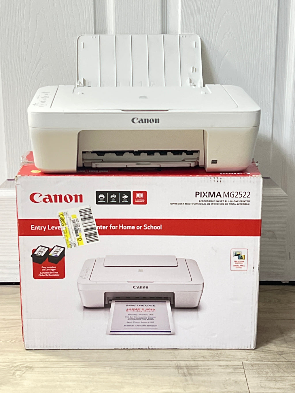 Canon PIXMA MG2522 All-In-One Color Inkjet Printer - White