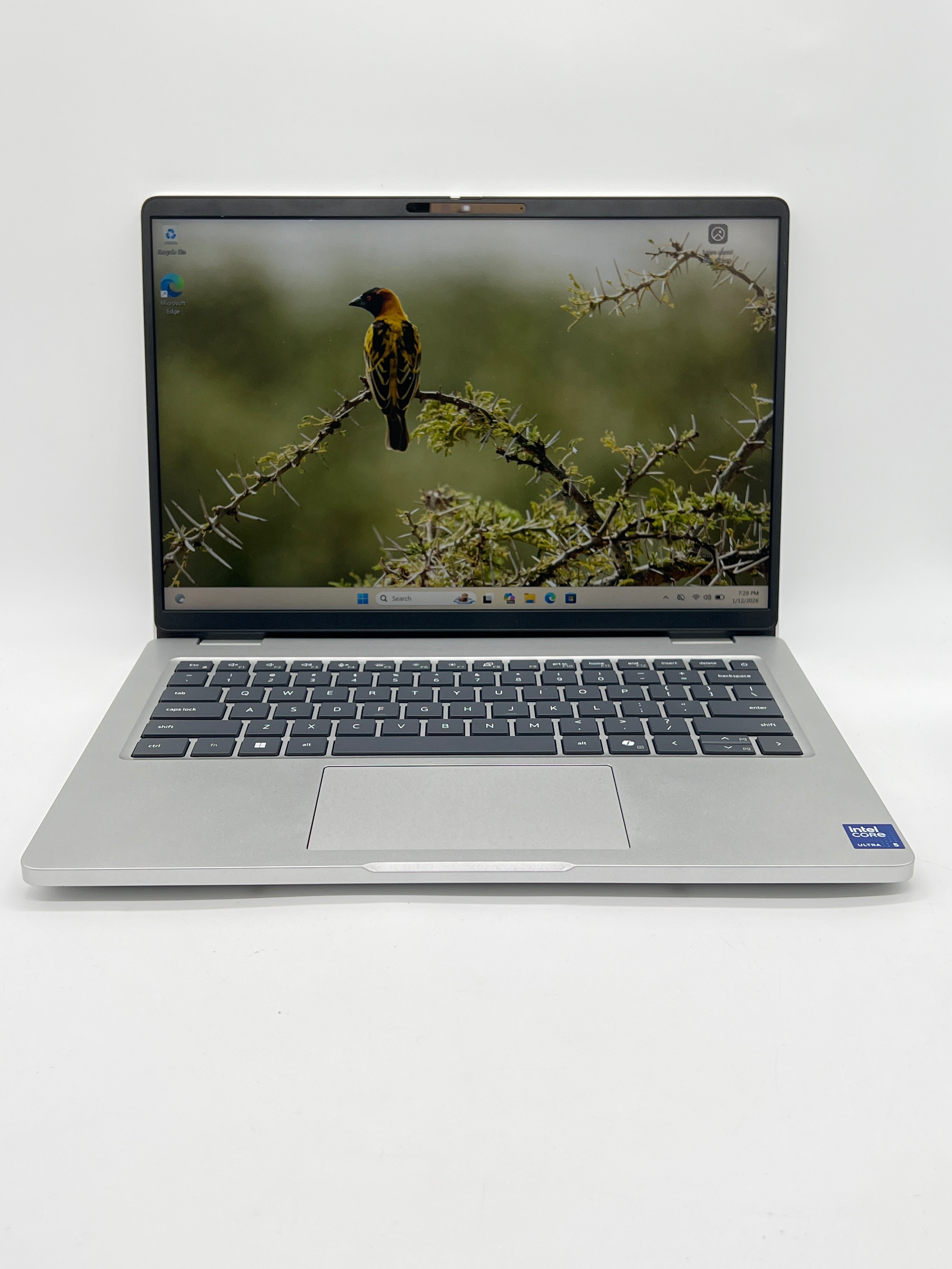 Dell Pro 14 PC14250 Ultra 5 235U 32GB RAM 256GB SSD - Used (Warranty)