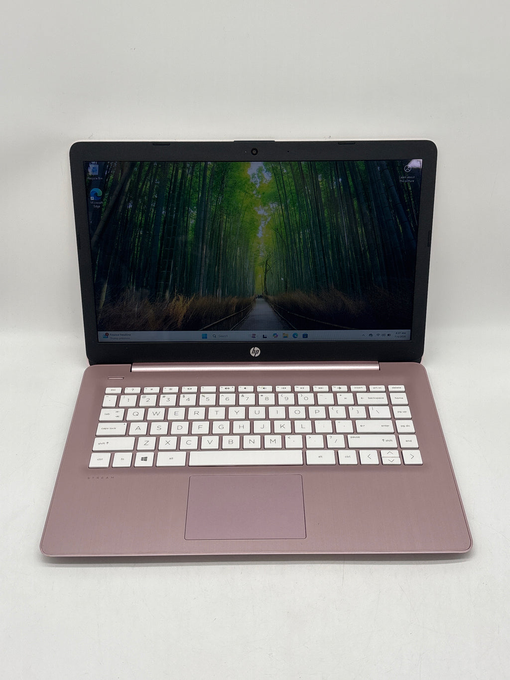 HP 14-ds0120nr AMD Radeon A4-9120e 4GB RAM 64GB SSD - Bad SSD