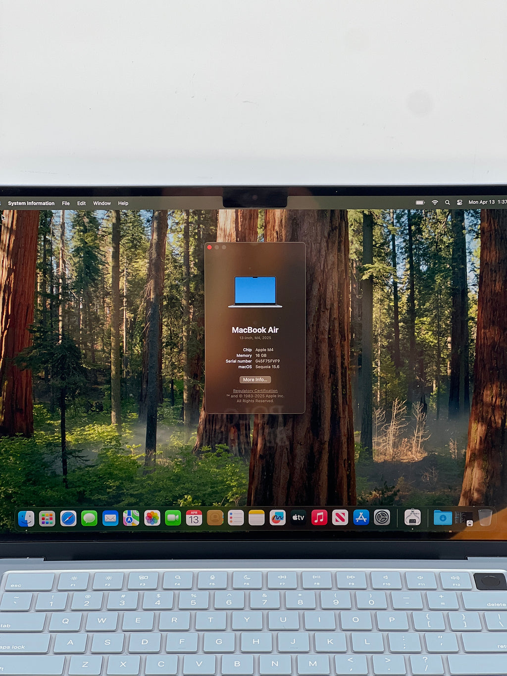 Apple MacBook Air 13" M4 A3240 16GB RAM 256GB SSD - Used