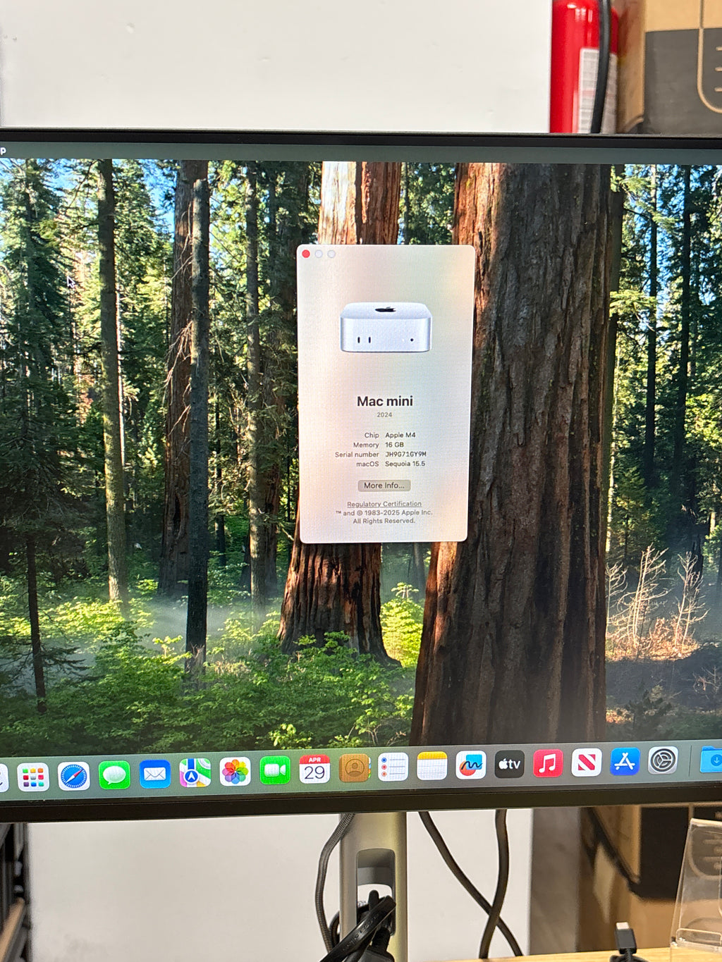 Apple Mac Mini M4 2024 MU9D3/LLA 16GB RAM 256GB SSD - Used